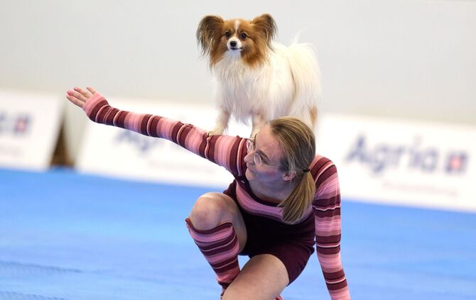 Meisterschaft im Dog Dancing auf Messe «Hund & Pferd»