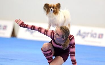 Meisterschaft im Dog Dancing auf Messe «Hund & Pferd»