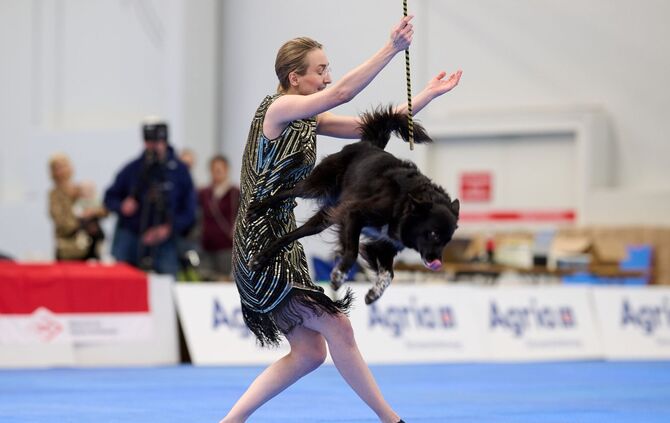 Meisterschaft im Dog Dancing auf Messe «Hund & Pferd»