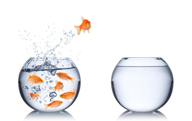 Das Sprungbrett für Ihre Karriere