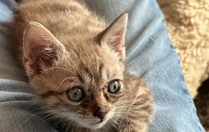 4952e3b0-53b6-4217-9e72-55e50fa4af99