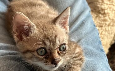 4952e3b0-53b6-4217-9e72-55e50fa4af99