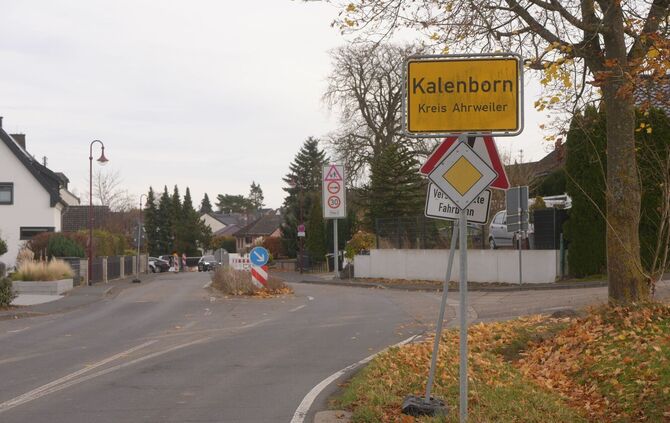 Mutmaßliche Großkatze gesichtet