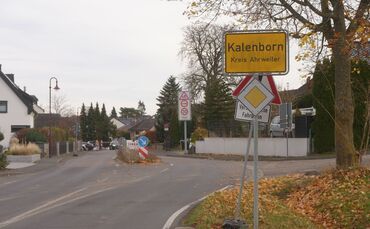 Mutmaßliche Großkatze gesichtet