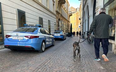 Hunde in Bozen