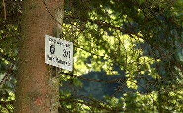 Rainwald Stadtwald von Weinstadt