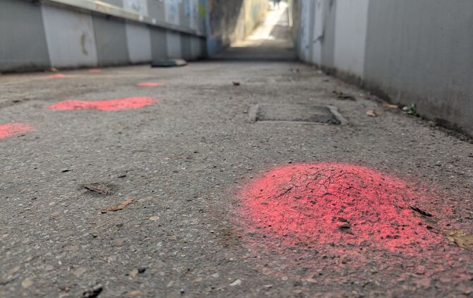 pxl_20251116_111503512