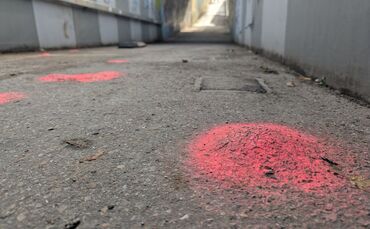 pxl_20251116_111503512