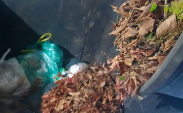 Biomüll im Restmüll