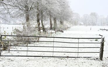 Winter in Niedersachsen
