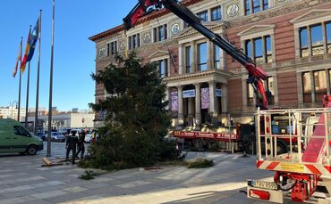 Weihnachtsbaum vor dem Abgeordnetenhaus aufgestellt
