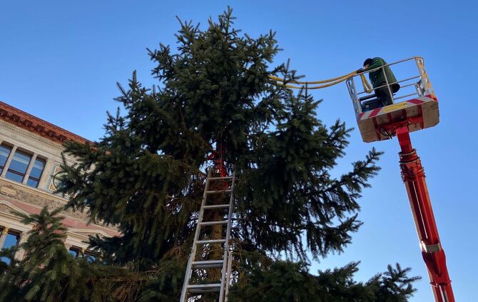 Weihnachtsbaum vor dem Abgeordnetenhaus aufgestellt
