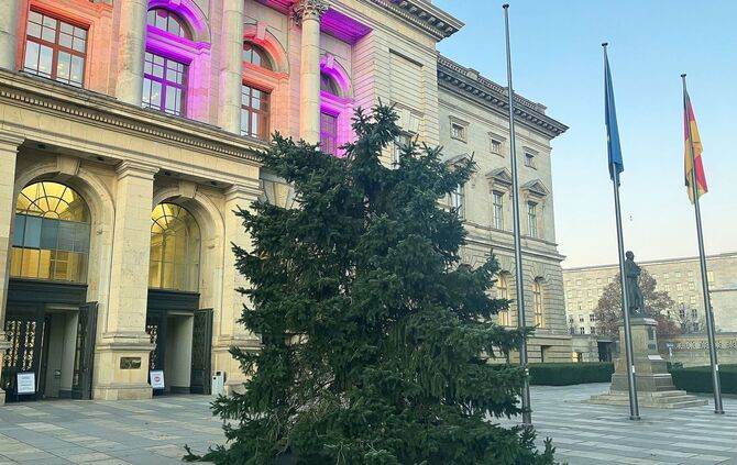 Weihnachtsbaum vor dem Abgeordnetenhaus