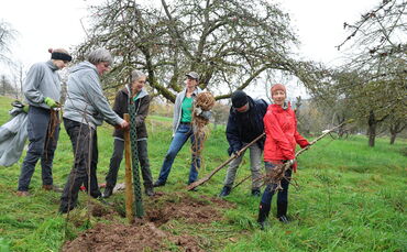 Streuobst Schafwanderweg