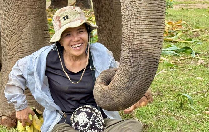 «Elefantenflüsterin» Saengduean «Lek» Chailert