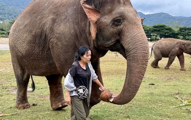 Elefantenflüsterin Saengduean «Lek» Chailert
