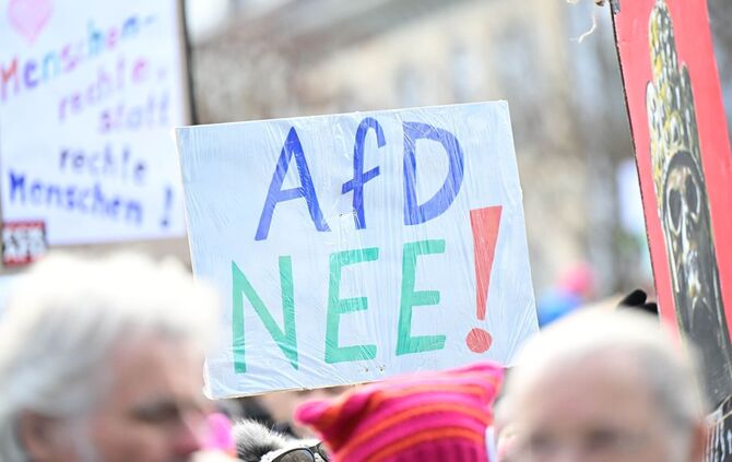AfD-Landesparteitag - Demonstration