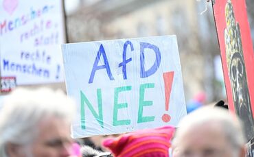 AfD-Landesparteitag - Demonstration