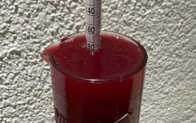 photo-2025-11-22-15-12-37 - 1