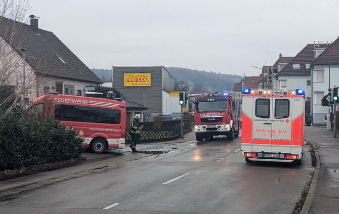 pxl_20251125_110243030mp - 1