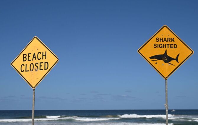 Tödlicher Hai-Angriff vor australischer Ostküste