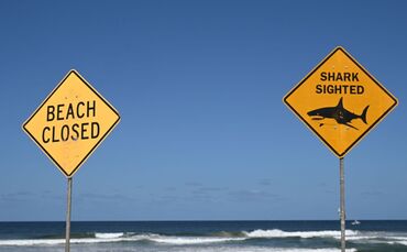 Tödlicher Hai-Angriff vor australischer Ostküste