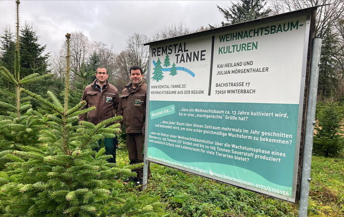 processed-f07b7710-276d-4df5-9e3f-25e1e172ea0f