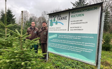 processed-f07b7710-276d-4df5-9e3f-25e1e172ea0f