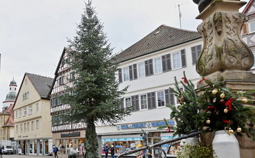 Weihnachtsbaum  - 1