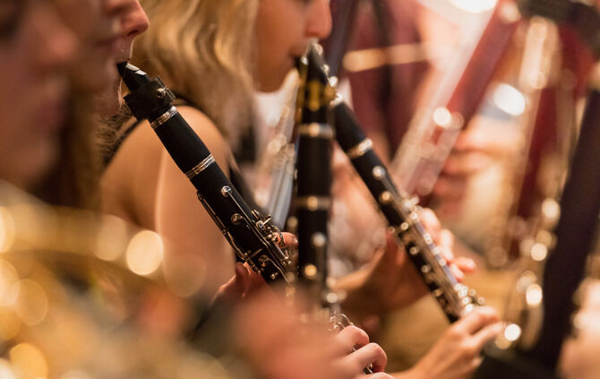 wind section during a classical concert music