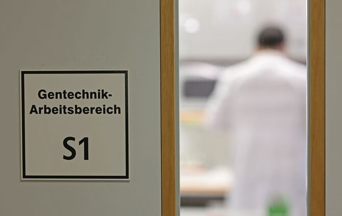 Forschung zu klimaresistenten Pflanzen am IPK Gatersleben