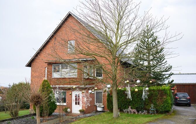 Familie schmückt ihr Haus mit 621 Weihnachtsbäumen