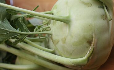 Kohlrabi