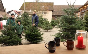 Weihnachtsbaumverkauf Familie Schwarz