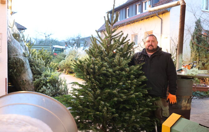Weihnachtsbaum Verkauf Luckert