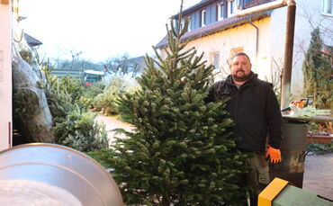 Weihnachtsbaum Verkauf Luckert