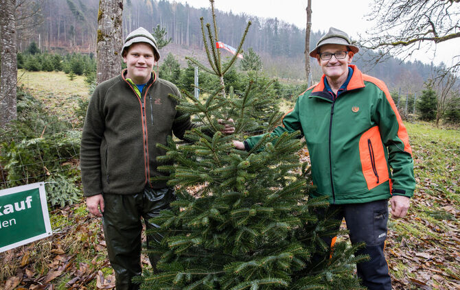 Bio-Christbaum-Werkstatt Kienzle