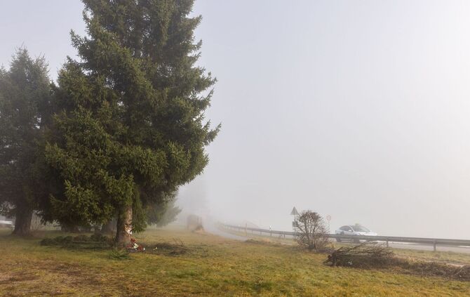 Polizist kommt bei Unfall mit Streifenwagen um