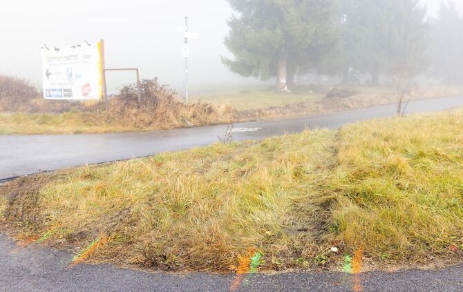 Polizist kommt bei Unfall mit Streifenwagen um