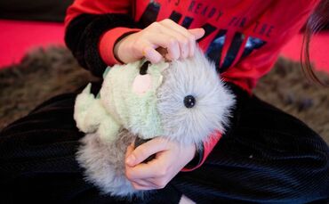 "Elektronischer Streichelzoo"