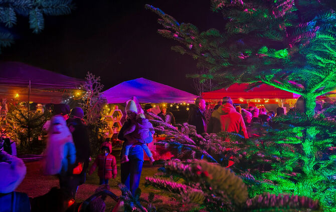 weinstadter-advent-querformat-foto-anna-szegedi