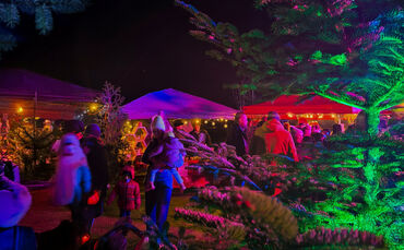 weinstadter-advent-querformat-foto-anna-szegedi