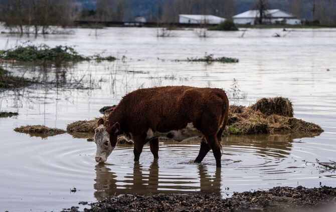 Überschwemmungen im US-Staat Washington