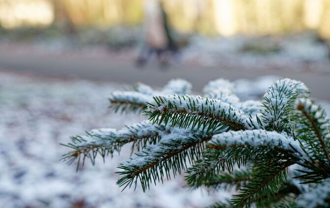 Wetter in Baden-Württemberg