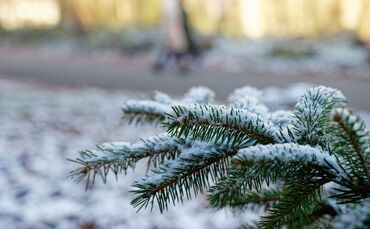 Wetter in Baden-Württemberg