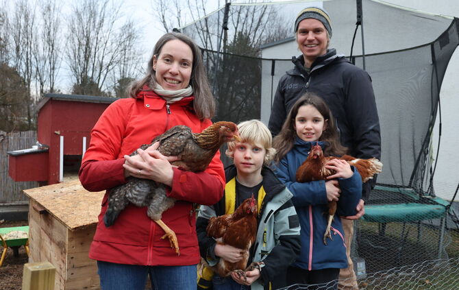 Hühner bei Familie Schönleber