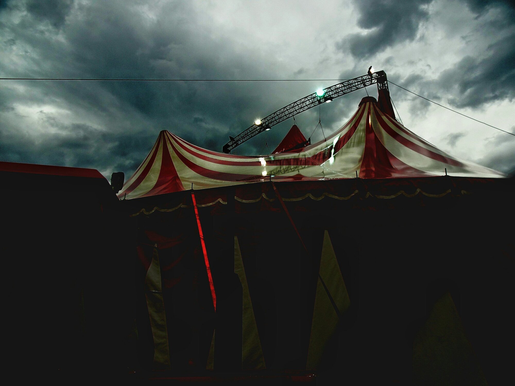 Inspection at World Christmas Circus: City of Stuttgart sees no animal ...