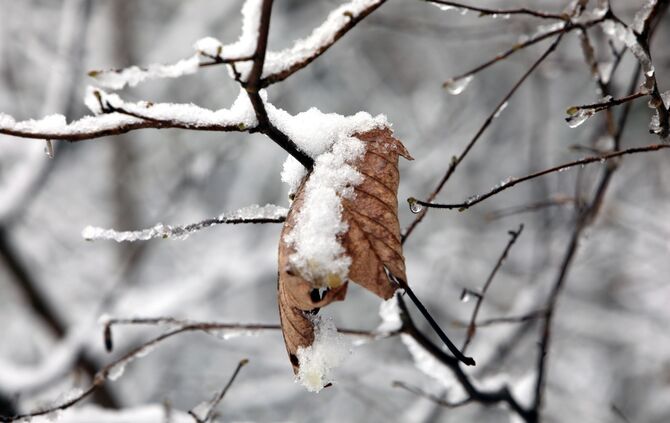 Schnee schneit Winter Symbolbild Symbolfoto Symbl