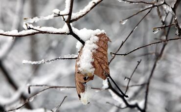 Schnee schneit Winter Symbolbild Symbolfoto Symbl