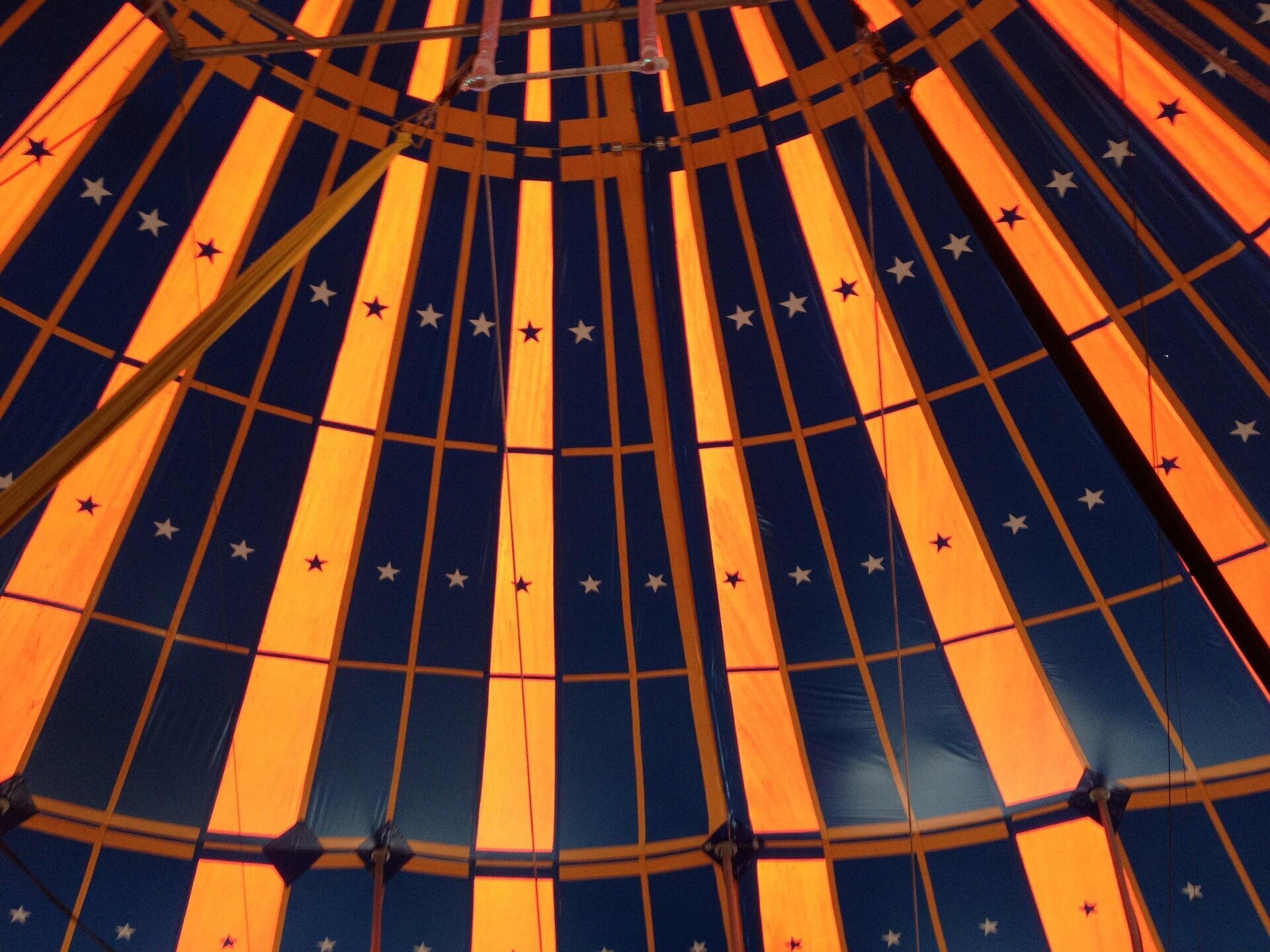 Nach massiver Kritik: Weltweihnachtscircus Stuttgart beendet ...